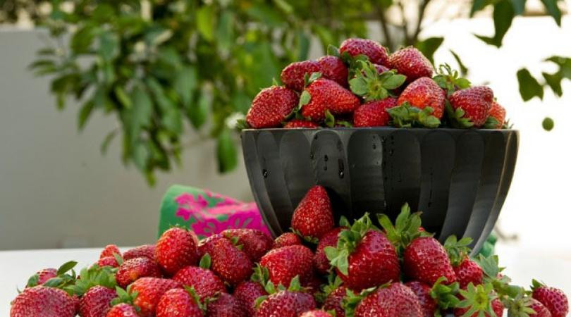 Οι φράουλες στον αγώνα κατά του καρκίνου